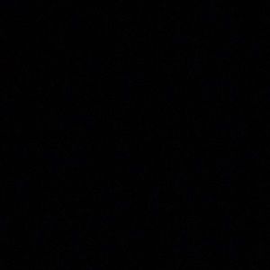 Meet your Posher, Shane